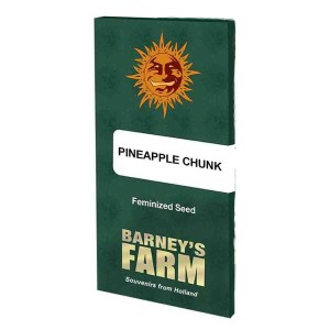 Barney's Farm Pineapple Chunk Cannabis Samen Seeds