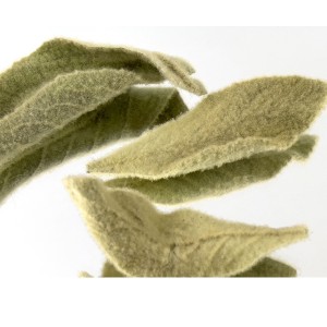 Smoke Down Dose Kräutermischung 25g