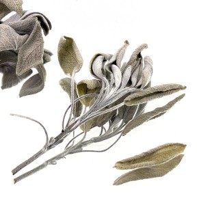 Smoke Up Dose Kräutermischung 25g