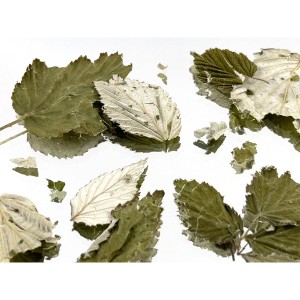 Smoke Zero Dose Kräutermischung 25g