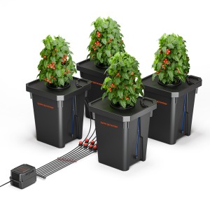 Spider Farmer Doppeltes Hydroponik DWC Grow System