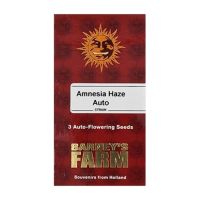 Cannabis Samen ✓ Auto, Feminisiert, Regular | 420 Queenz